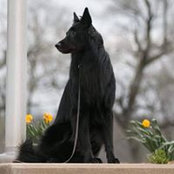 Alissa Levine's photo