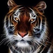 Cathy Brock's photo