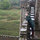 monica_stiles