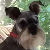 Paula Smith's photo