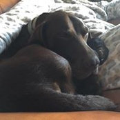 Michele Morris's photo