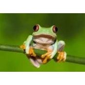 Carrie McClean's photo