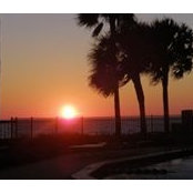 Kathy Spiekhout's photo