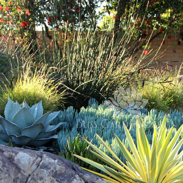 Dry Garden, Palos Verdes, CA
