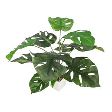 Greenery Decor