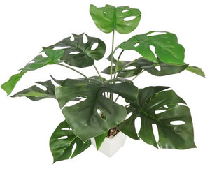 Monstera Potted Plant, 19"