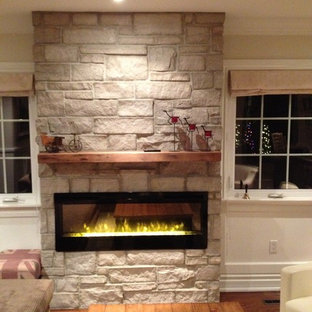 Contemporary Electric Fireplace Houzz