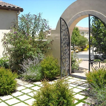 Landscape Design & Installations