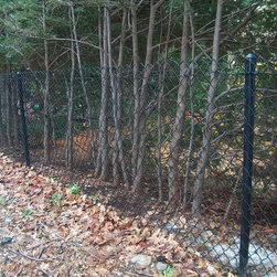 Chain Link - Products