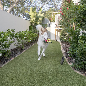 Luxurious Davis Island Backyard