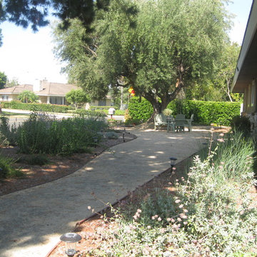 Earth Friendly Santa Ana Garden