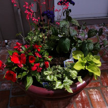 flower pots