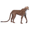 Life-Size Standing Cheetah, Jacq
