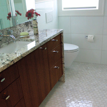 Aging in Place Bathroom Remodel