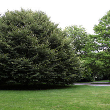 East Hampton Residence