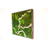 Real and Preserved Moss and Ferns Wall Art With Natural Branches
