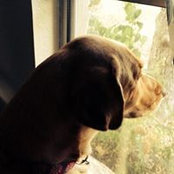 Karen Borell's photo