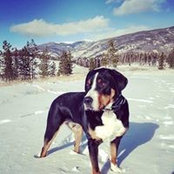 Ryan Carroll's photo