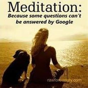 Denise Austin's photo