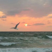 Tom Malta's photo