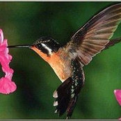 Deborah Davis's photo
