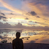 Lyn F's photo