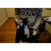 Simone Bonouvrie's photo