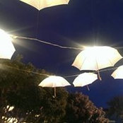 Foto von Ann Wan