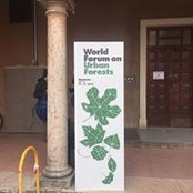 Foto von Fabio Salbitano