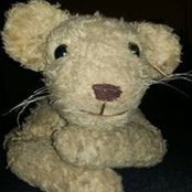 Andrew Barbour's photo