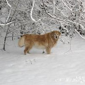 Michaeline Spatuzza's photo
