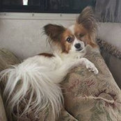 Jan Schapansky's photo