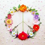 Jodi Gremo's photo