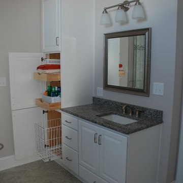 Ballantyne Master Bath remodel