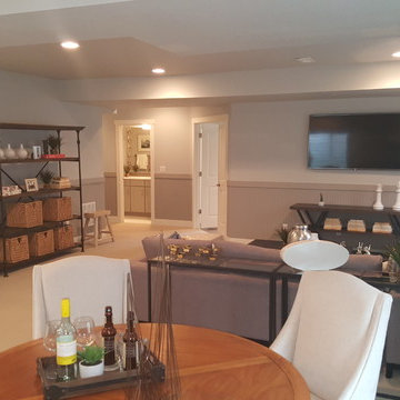 Centennial Contemporary New Basement