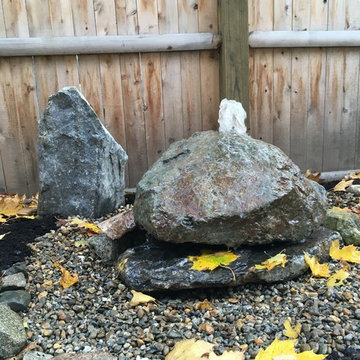 Tiny Back Yard