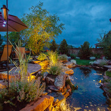 Landscape Ideas