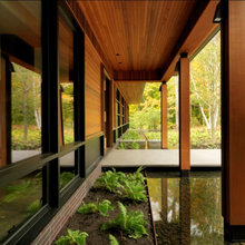 Landscape Ideas