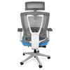 Premium Ergonomic Office Chair in Blue