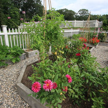 Kaya's Garden