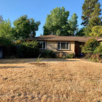 Carmichael front yard conversion