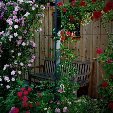 timeless country garden