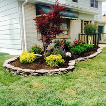 Landscape Front Yard