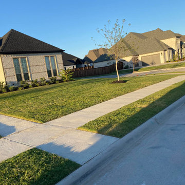 castros tree and lawn care corp
