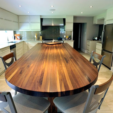 Ottawa Transition Kitchen 2