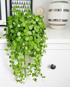 large floor planter indoor RIPPLED Large Floor Planter Forest Green | Bio-Composite