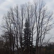 Barbara Parsons's photo