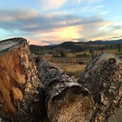 Brett DeMayo's photo