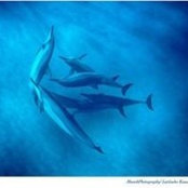 Nancy Kruschke's photo