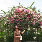Галина Сыпченко's photo